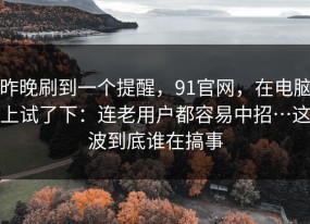 昨晚刷到一个提醒，91官网，在电脑上试了下：连老用户都容易中招…这波到底谁在搞事
