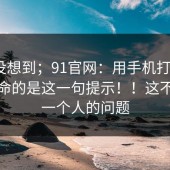 我真没想到；91官网：用手机打开后｜最要命的是这一句提示！！这不是我一个人的问题