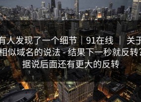 有人发现了一个细节｜91在线 ｜ 关于相似域名的说法 - 结果下一秒就反转？据说后面还有更大的反转